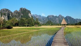 Southeast Asia Laos Rice-field
